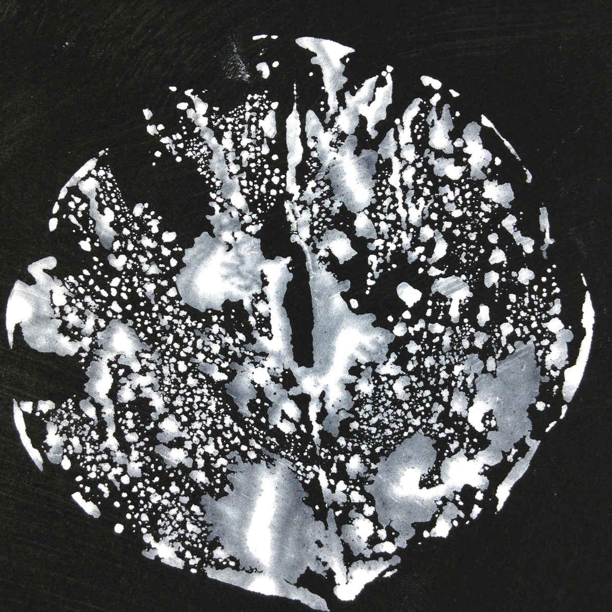 Leaf/Land/Lung #1