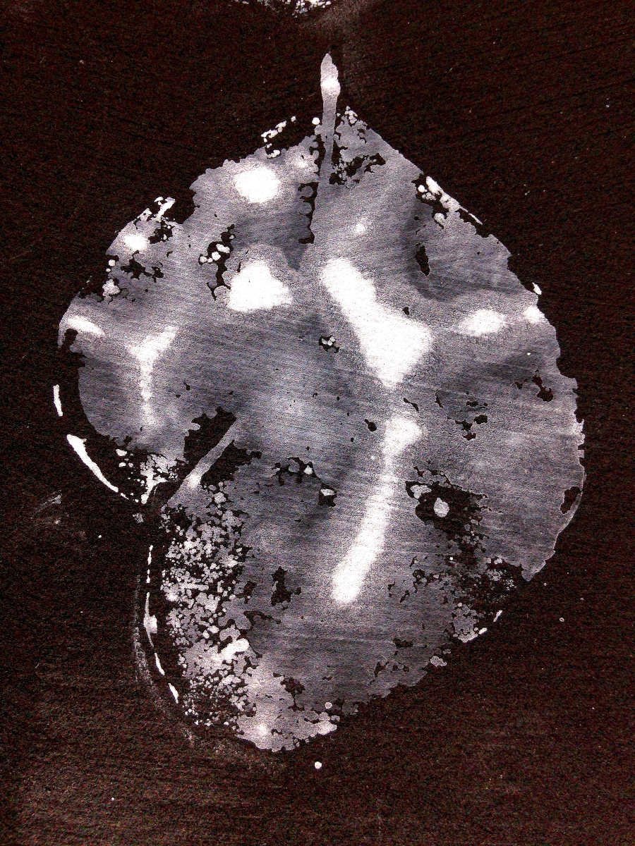 Leaf/Land/Lung #6