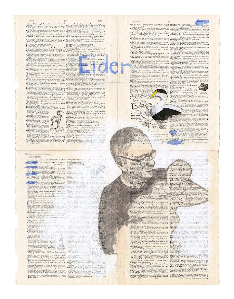 Eider (original)
