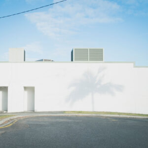 Shadow #1