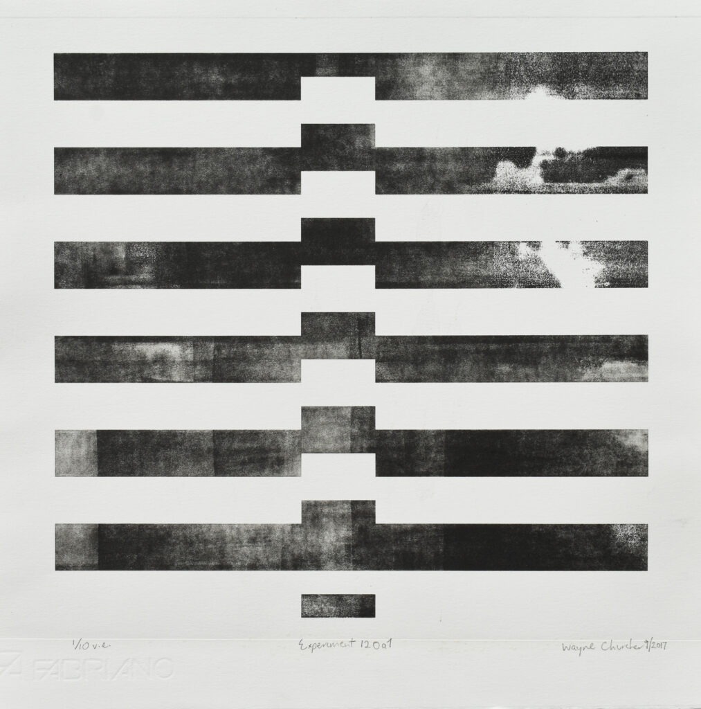 Wayne Churcher -Experiment_12oA1_1of10