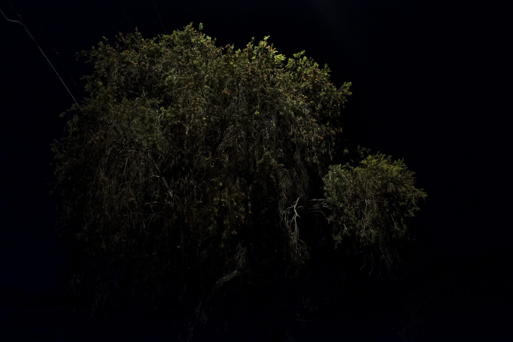 Untitled 2, from the series Luminaire