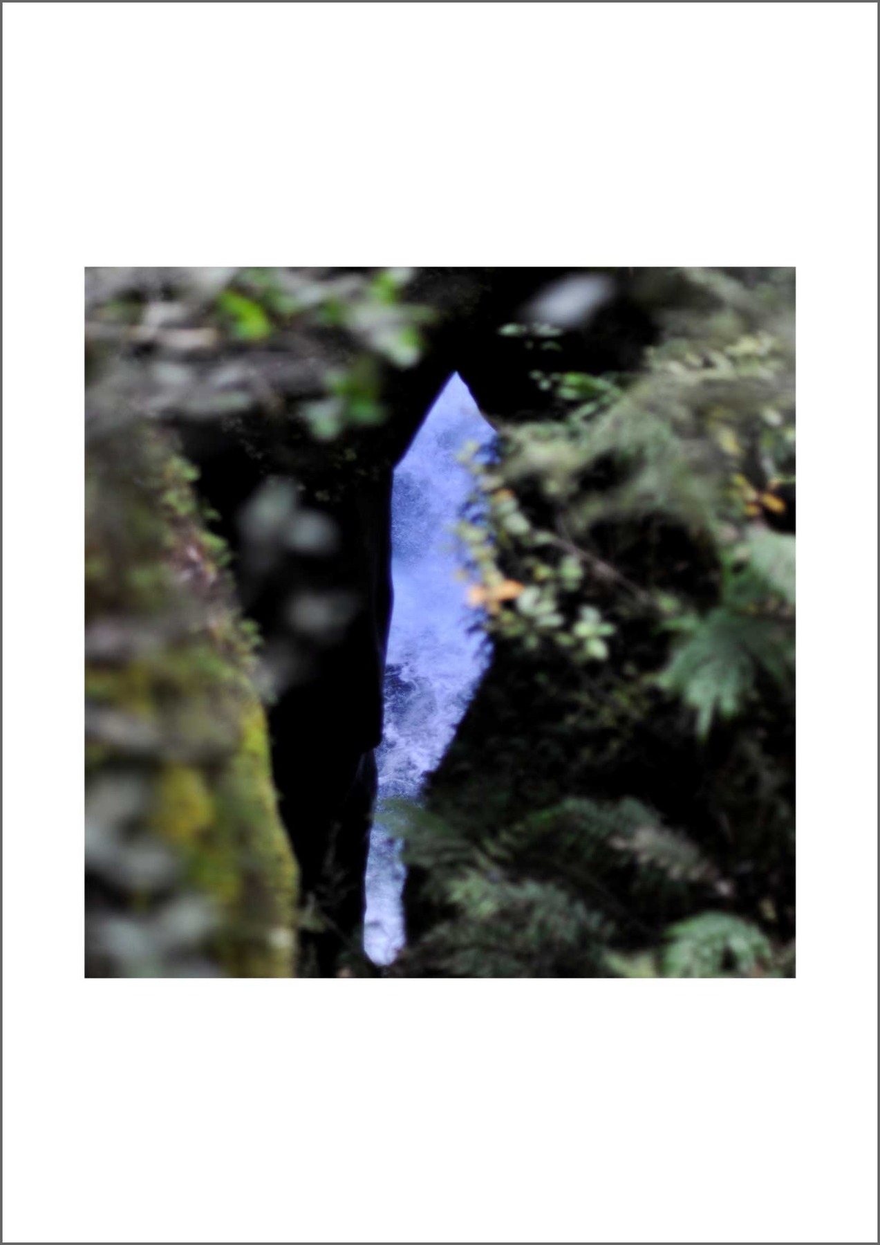 The Clearing