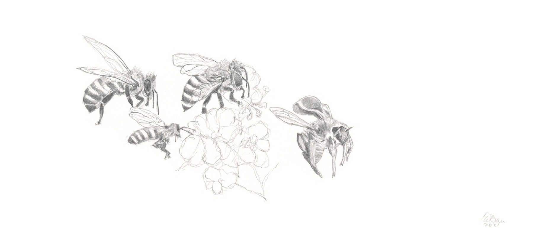 Bees-4 (from the 2021 Beehive Frames series)