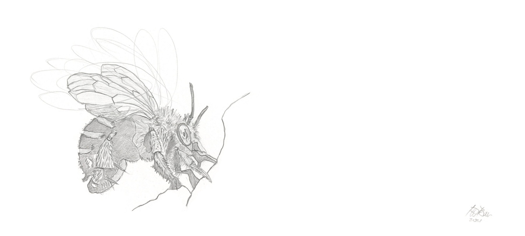Bees-6 (from the 2021 Beehive Frames series)