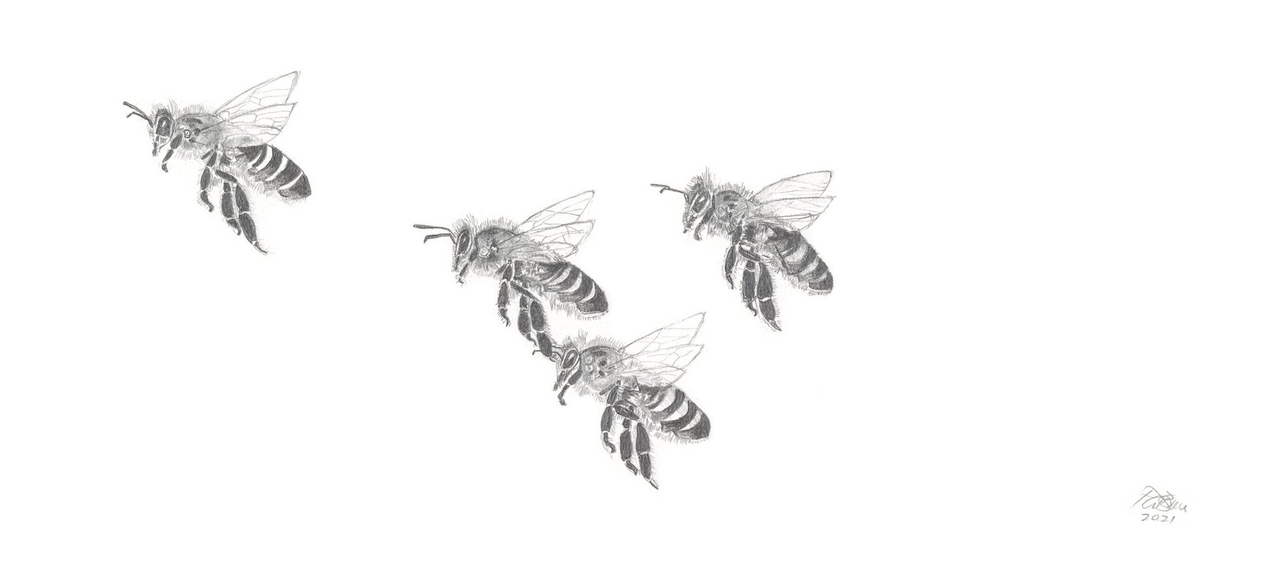 Bees-7 (from the 2021 Beehive Frames series)
