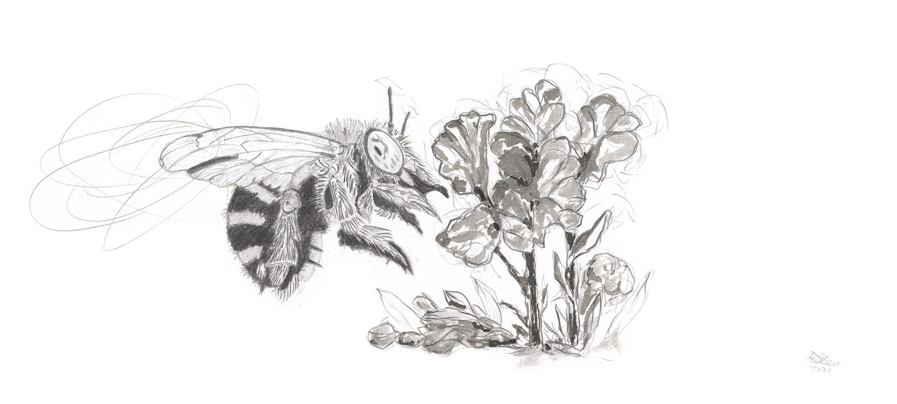 Bees-8 (from the 2021 Beehive Frames series)