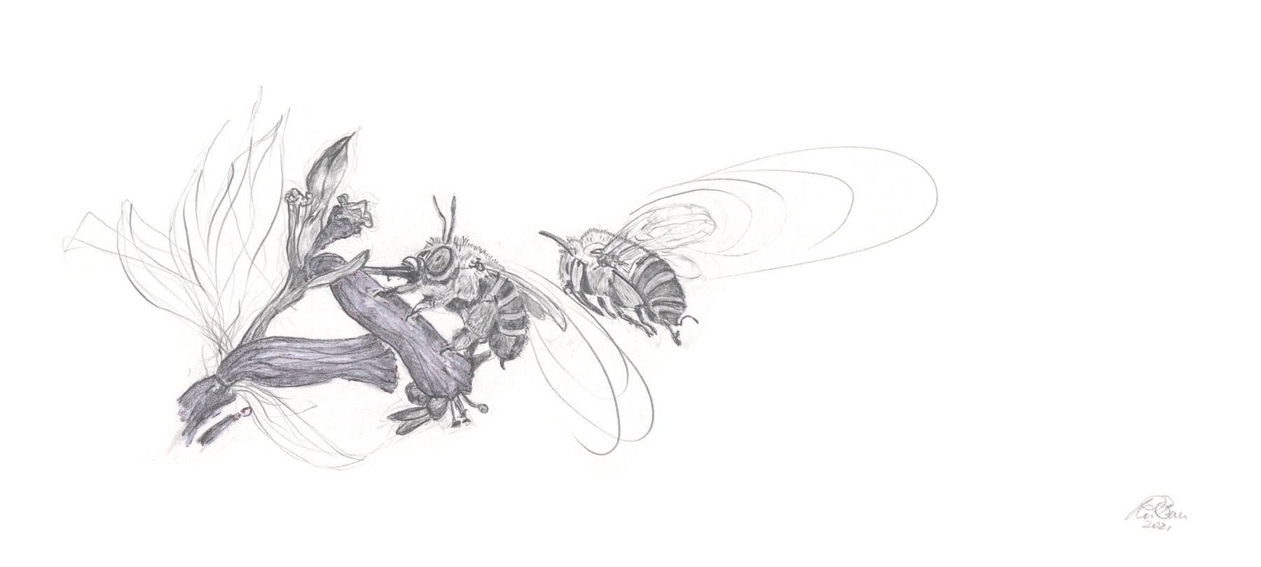 Bees-9 (from the 2021 Beehive Frames series)
