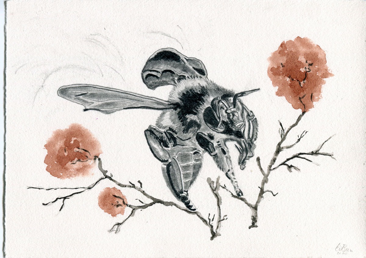 Bee Landing