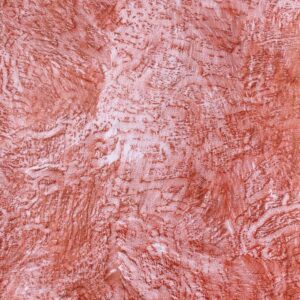 Drawing with Termite and Tree 1 (Sienna)