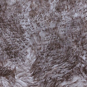 Drawing with Termite and Tree 3 (Brown)