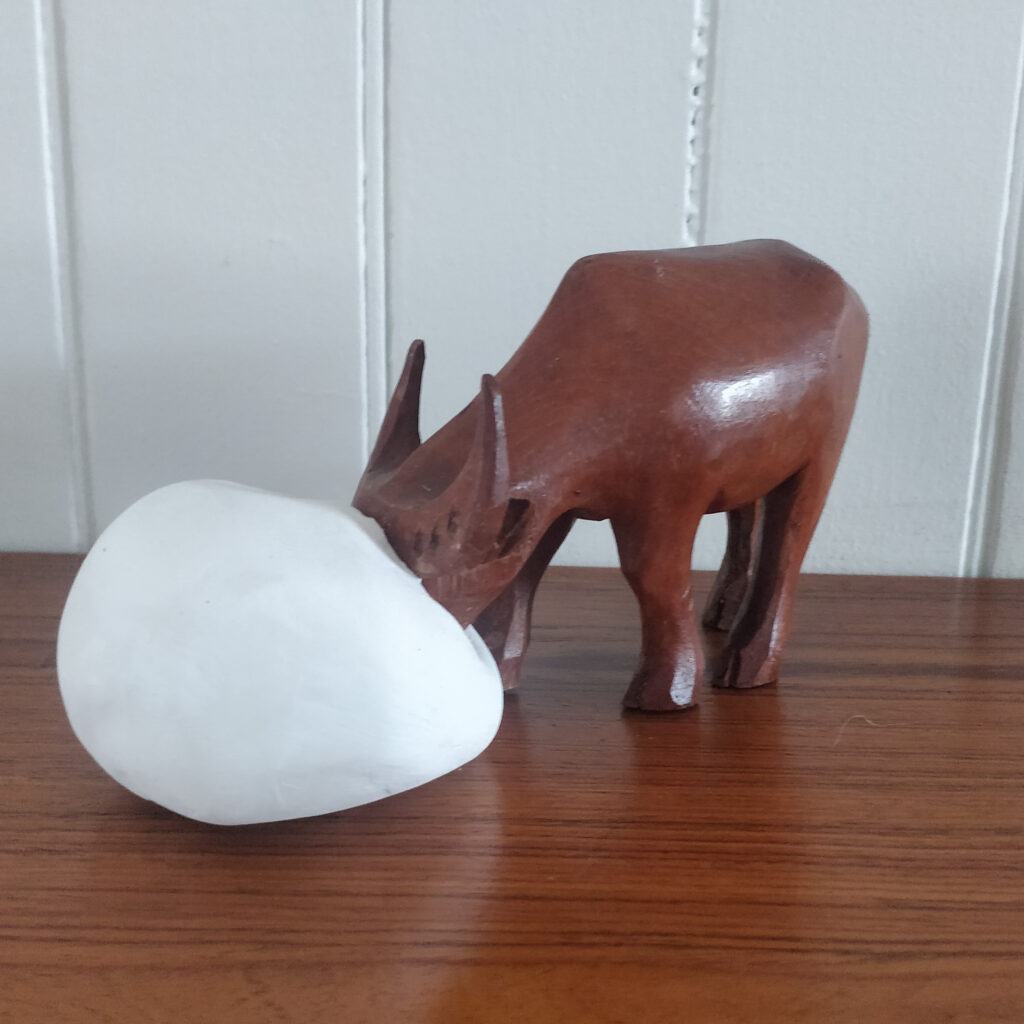 Elizabeth Woods - Buffalo Face Down