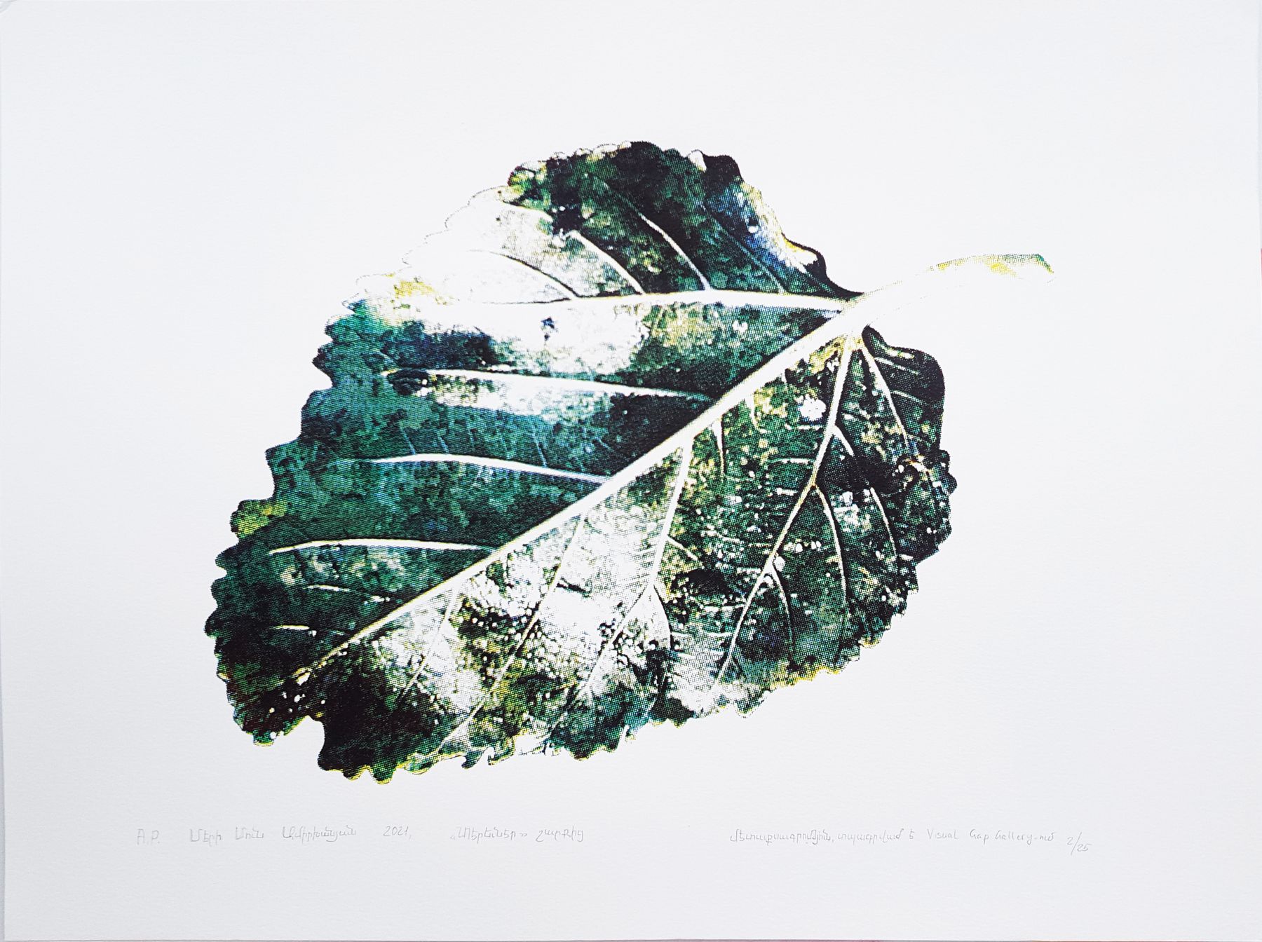 From the Leaves series by Mary Moon