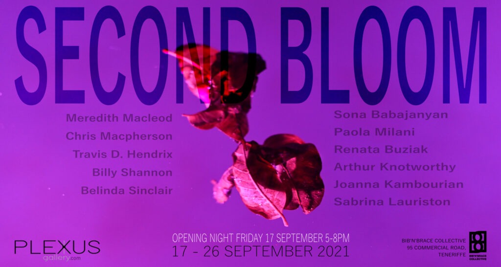 Second Bloom exhibition