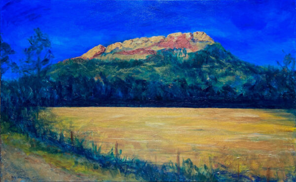 Mountains of Gold - Quamby Bluff Tasmania - Billy Shannon