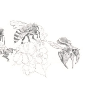 Bees-4 (from the 2021 Beehive Frames series)