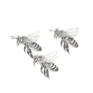 Bees-7 (from the 2021 Beehive Frames series)